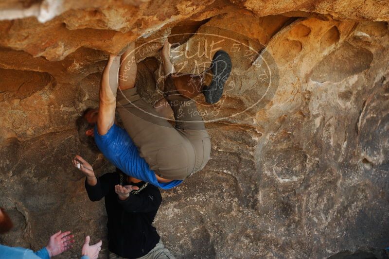 

Filename: SRM_20171119_1405190.jpg
Aperture: f/3.5
Shutter Speed: 1/250
Body: Canon EOS-1D Mark II
Lens: Canon EF 50mm f/1.8 II