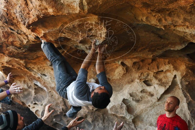 

Filename: SRM_20171119_1413011.jpg
Aperture: f/4.0
Shutter Speed: 1/200
Body: Canon EOS-1D Mark II
Lens: Canon EF 50mm f/1.8 II