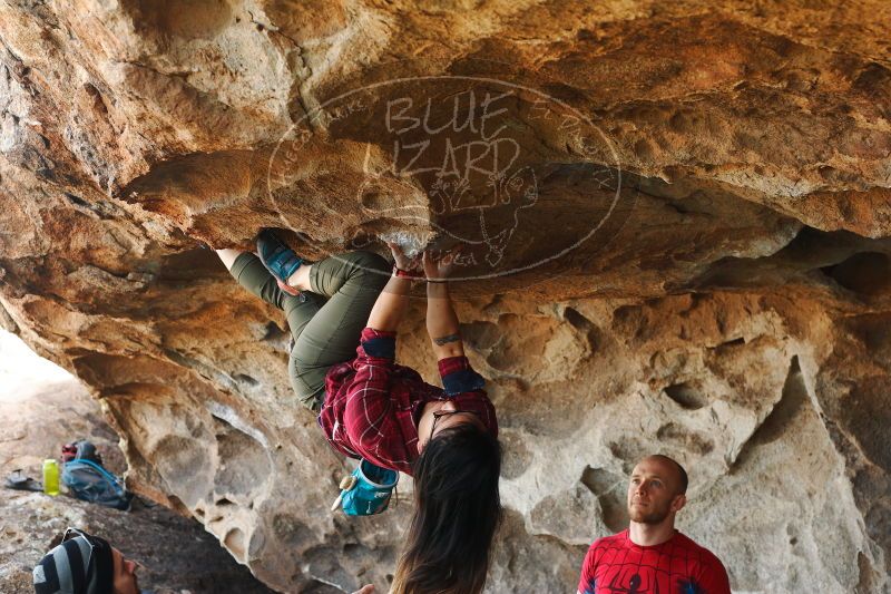 

Filename: SRM_20171119_1419430.jpg
Aperture: f/4.0
Shutter Speed: 1/250
Body: Canon EOS-1D Mark II
Lens: Canon EF 50mm f/1.8 II