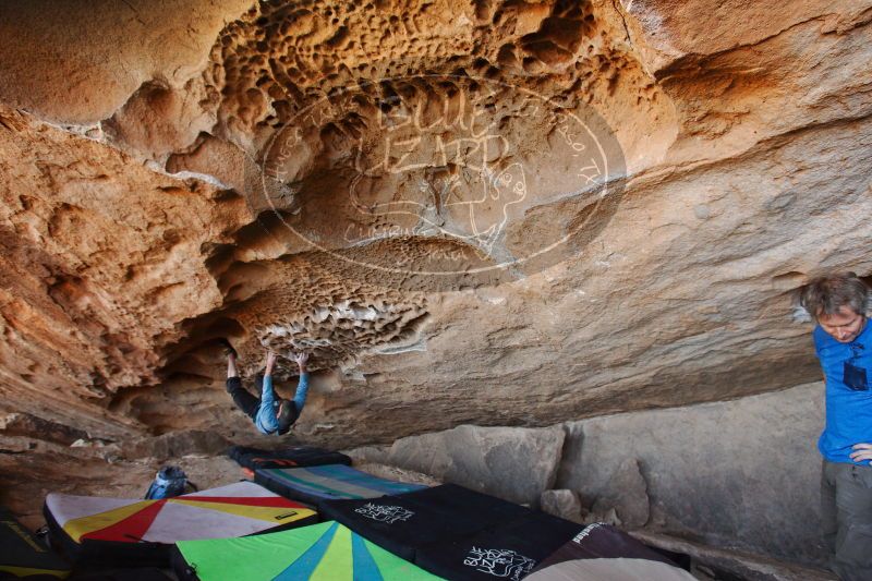 

Filename: SRM_20171119_1501360.jpg
Aperture: f/4.0
Shutter Speed: 1/250
Body: Canon EOS-1D Mark II
Lens: Canon EF 16-35mm f/2.8 L