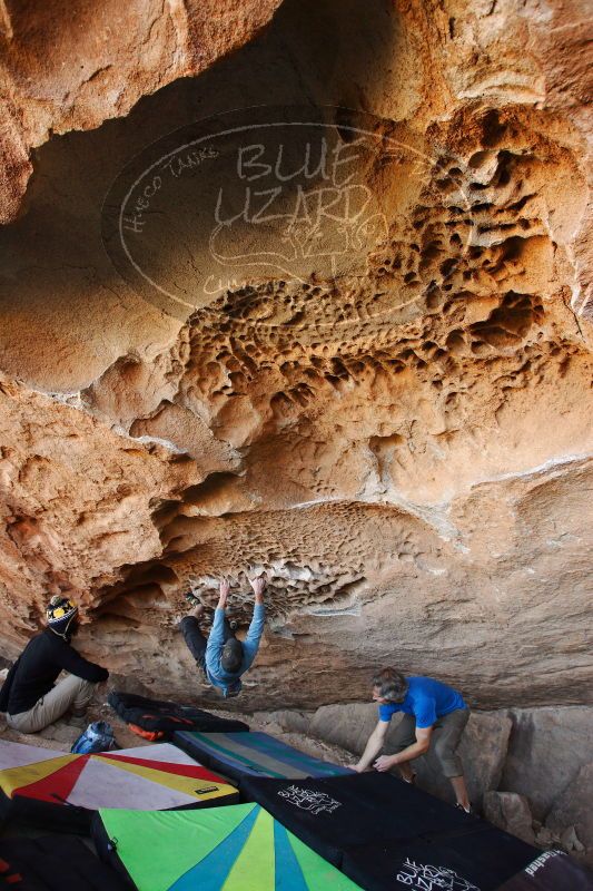 

Filename: SRM_20171119_1502090.jpg
Aperture: f/4.0
Shutter Speed: 1/200
Body: Canon EOS-1D Mark II
Lens: Canon EF 16-35mm f/2.8 L