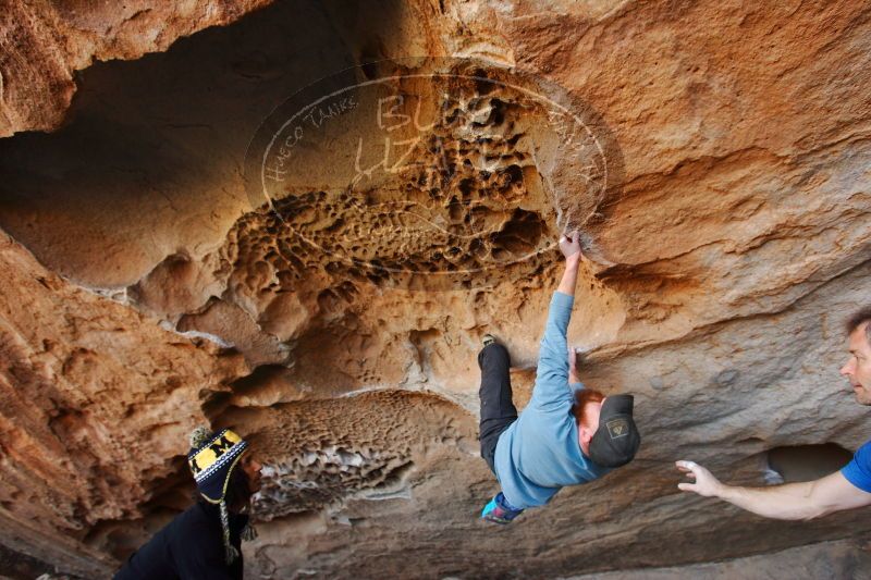 

Filename: SRM_20171119_1503310.jpg
Aperture: f/4.0
Shutter Speed: 1/250
Body: Canon EOS-1D Mark II
Lens: Canon EF 16-35mm f/2.8 L