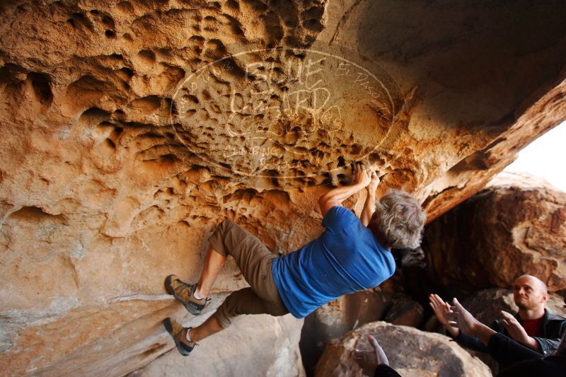 

Filename: SRM_20171119_1512530.jpg
Aperture: f/4.0
Shutter Speed: 1/200
Body: Canon EOS-1D Mark II
Lens: Canon EF 16-35mm f/2.8 L