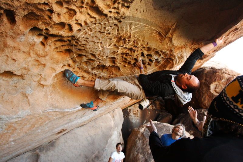 

Filename: SRM_20171119_1514010.jpg
Aperture: f/4.0
Shutter Speed: 1/320
Body: Canon EOS-1D Mark II
Lens: Canon EF 16-35mm f/2.8 L