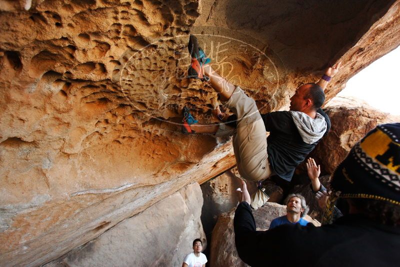 

Filename: SRM_20171119_1514050.jpg
Aperture: f/4.0
Shutter Speed: 1/400
Body: Canon EOS-1D Mark II
Lens: Canon EF 16-35mm f/2.8 L