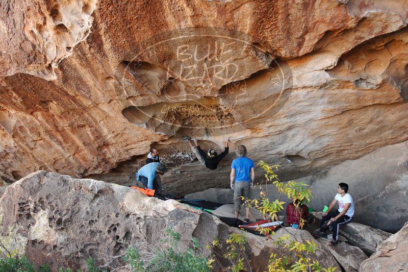 

Filename: SRM_20171119_1521280.jpg
Aperture: f/4.0
Shutter Speed: 1/500
Body: Canon EOS-1D Mark II
Lens: Canon EF 16-35mm f/2.8 L