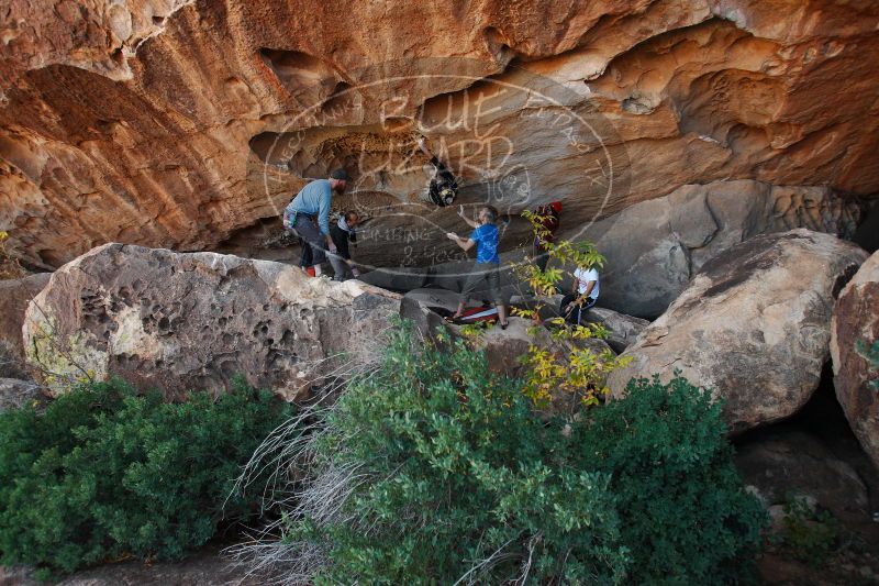 

Filename: SRM_20171119_1521590.jpg
Aperture: f/4.0
Shutter Speed: 1/800
Body: Canon EOS-1D Mark II
Lens: Canon EF 16-35mm f/2.8 L