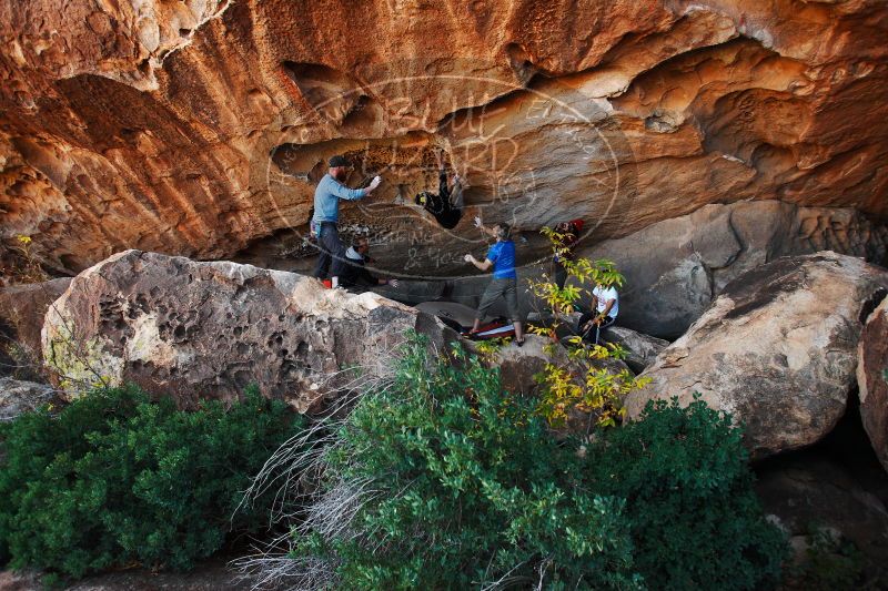 

Filename: SRM_20171119_1522020.jpg
Aperture: f/4.0
Shutter Speed: 1/800
Body: Canon EOS-1D Mark II
Lens: Canon EF 16-35mm f/2.8 L