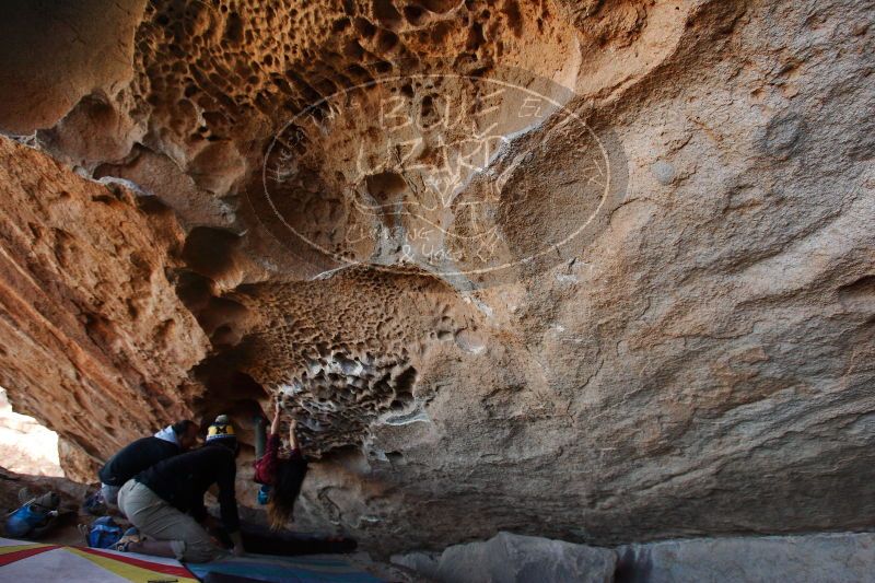 

Filename: SRM_20171119_1525530.jpg
Aperture: f/4.0
Shutter Speed: 1/500
Body: Canon EOS-1D Mark II
Lens: Canon EF 16-35mm f/2.8 L