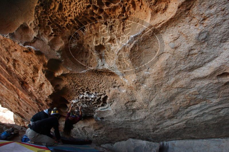 

Filename: SRM_20171119_1525561.jpg
Aperture: f/4.0
Shutter Speed: 1/500
Body: Canon EOS-1D Mark II
Lens: Canon EF 16-35mm f/2.8 L