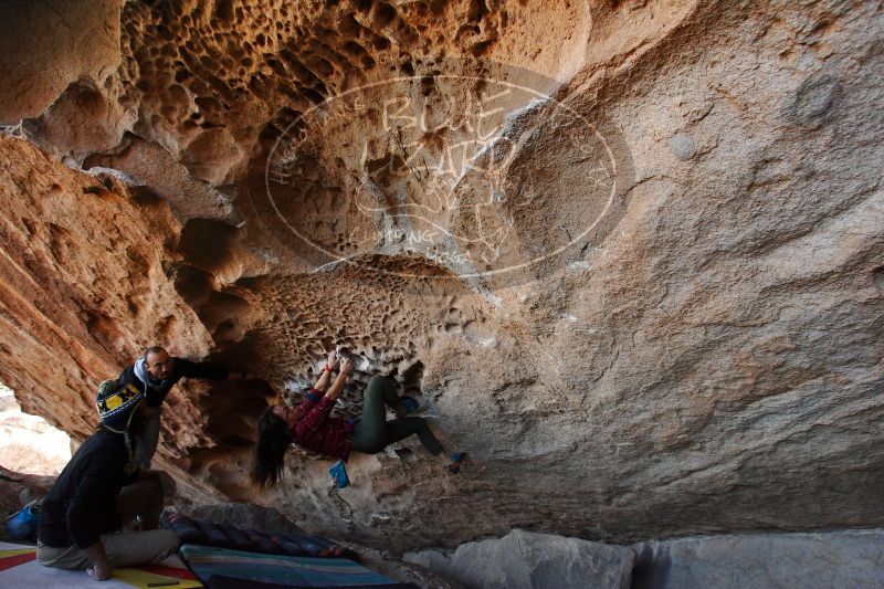 

Filename: SRM_20171119_1526170.jpg
Aperture: f/4.0
Shutter Speed: 1/400
Body: Canon EOS-1D Mark II
Lens: Canon EF 16-35mm f/2.8 L