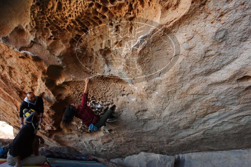 

Filename: SRM_20171119_1526210.jpg
Aperture: f/4.0
Shutter Speed: 1/400
Body: Canon EOS-1D Mark II
Lens: Canon EF 16-35mm f/2.8 L