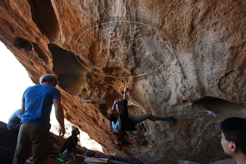 

Filename: SRM_20171119_1529450.jpg
Aperture: f/4.0
Shutter Speed: 1/640
Body: Canon EOS-1D Mark II
Lens: Canon EF 16-35mm f/2.8 L