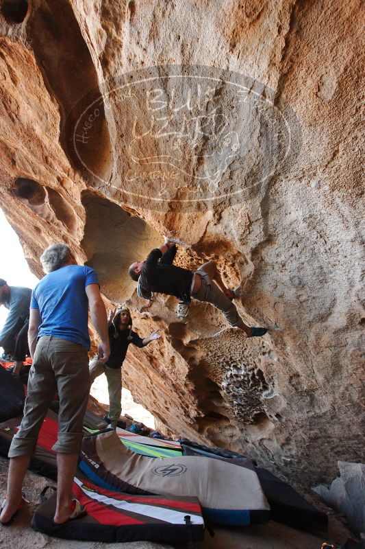 

Filename: SRM_20171119_1530070.jpg
Aperture: f/5.0
Shutter Speed: 1/200
Body: Canon EOS-1D Mark II
Lens: Canon EF 16-35mm f/2.8 L