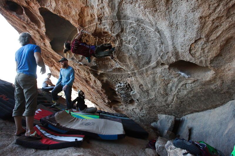 

Filename: SRM_20171119_1537550.jpg
Aperture: f/4.0
Shutter Speed: 1/320
Body: Canon EOS-1D Mark II
Lens: Canon EF 16-35mm f/2.8 L