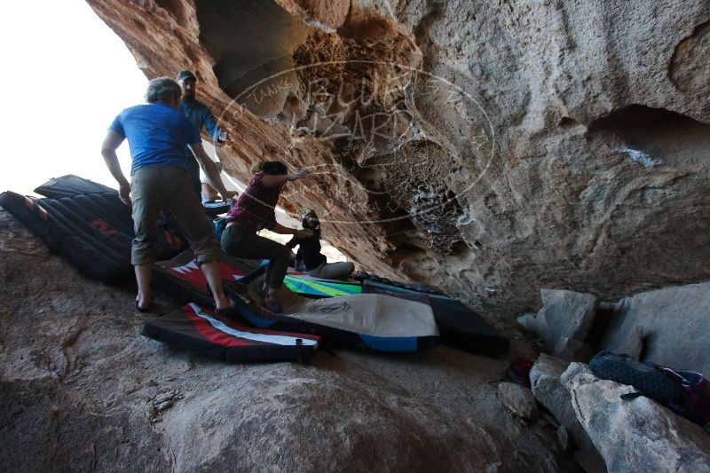 

Filename: SRM_20171119_1538161.jpg
Aperture: f/4.0
Shutter Speed: 1/400
Body: Canon EOS-1D Mark II
Lens: Canon EF 16-35mm f/2.8 L