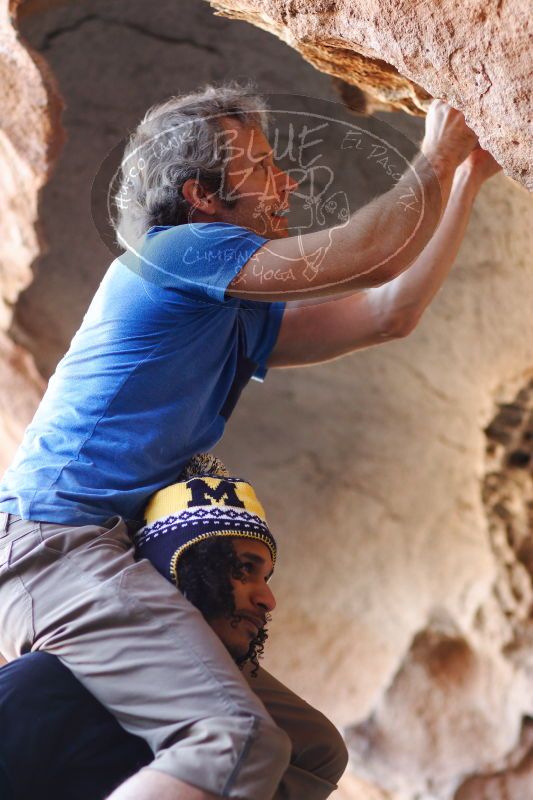 

Filename: SRM_20171119_1541400.jpg
Aperture: f/2.0
Shutter Speed: 1/400
Body: Canon EOS-1D Mark II
Lens: Canon EF 85mm f/1.2 L II