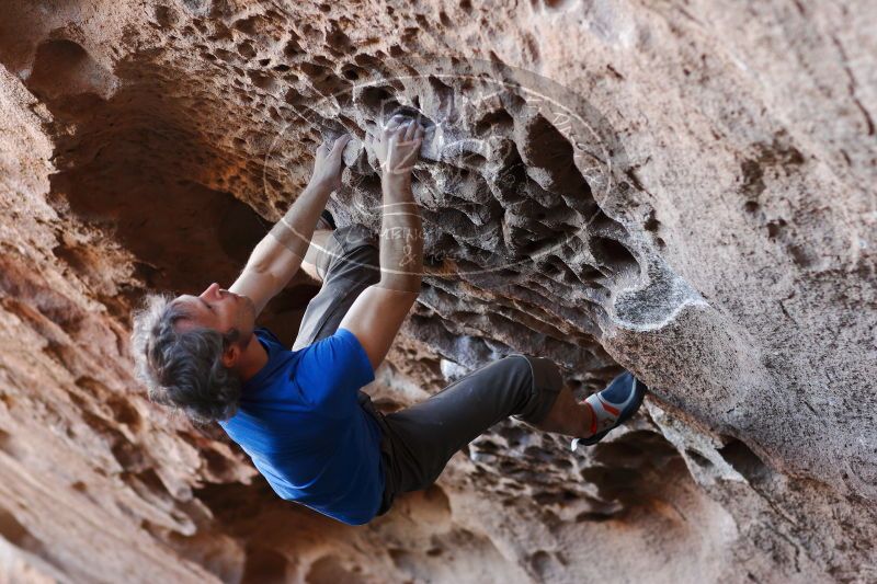 

Filename: SRM_20171119_1553360.jpg
Aperture: f/2.8
Shutter Speed: 1/250
Body: Canon EOS-1D Mark II
Lens: Canon EF 85mm f/1.2 L II