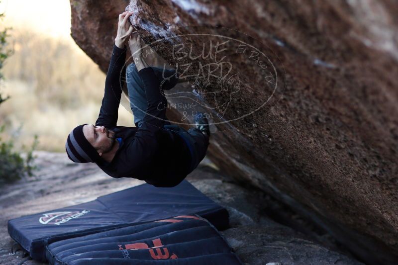 

Filename: SRM_20171119_1634360.jpg
Aperture: f/2.0
Shutter Speed: 1/500
Body: Canon EOS-1D Mark II
Lens: Canon EF 85mm f/1.2 L II