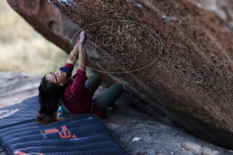 

Filename: SRM_20171119_1642080.jpg
Aperture: f/2.0
Shutter Speed: 1/400
Body: Canon EOS-1D Mark II
Lens: Canon EF 85mm f/1.2 L II