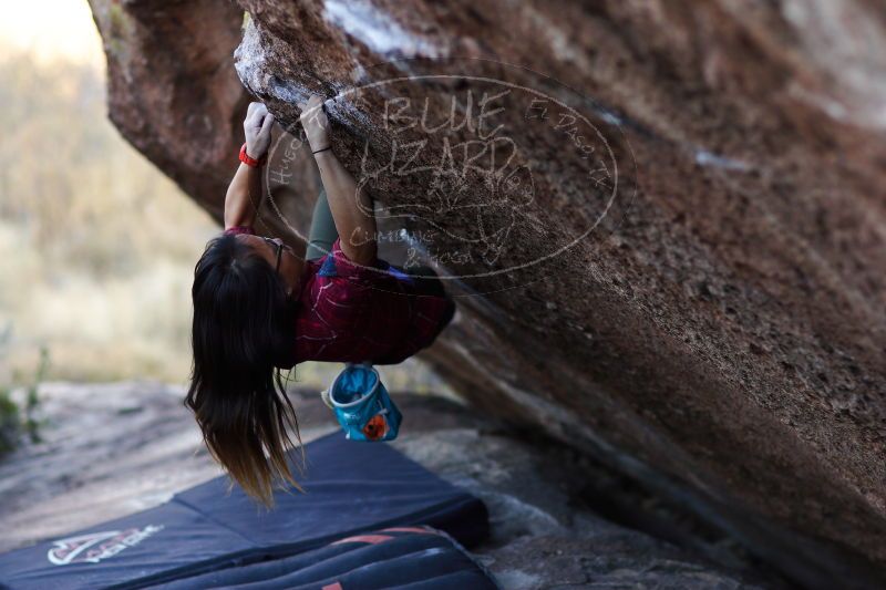 

Filename: SRM_20171119_1642260.jpg
Aperture: f/2.0
Shutter Speed: 1/400
Body: Canon EOS-1D Mark II
Lens: Canon EF 85mm f/1.2 L II