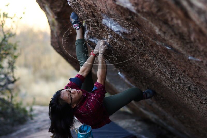 

Filename: SRM_20171119_1642450.jpg
Aperture: f/2.0
Shutter Speed: 1/500
Body: Canon EOS-1D Mark II
Lens: Canon EF 85mm f/1.2 L II