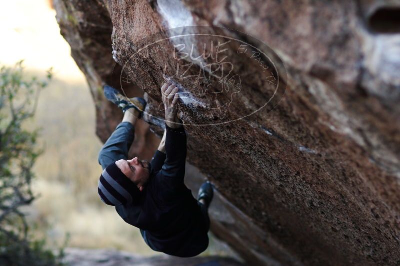 

Filename: SRM_20171119_1656073.jpg
Aperture: f/2.0
Shutter Speed: 1/500
Body: Canon EOS-1D Mark II
Lens: Canon EF 85mm f/1.2 L II