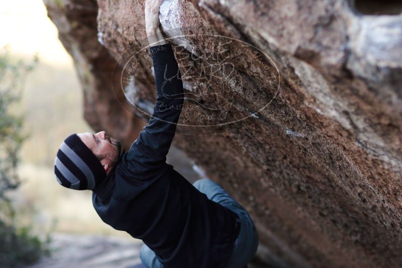 

Filename: SRM_20171119_1656212.jpg
Aperture: f/2.0
Shutter Speed: 1/400
Body: Canon EOS-1D Mark II
Lens: Canon EF 85mm f/1.2 L II