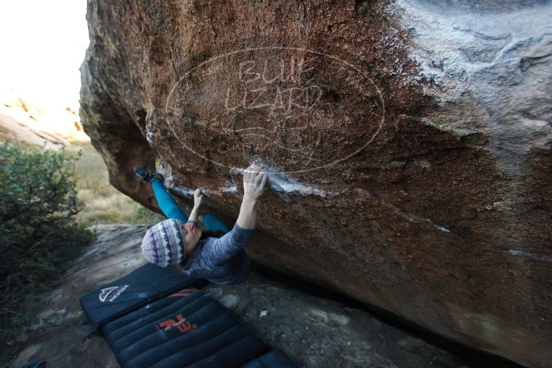 

Filename: SRM_20171119_1704143.jpg
Aperture: f/4.5
Shutter Speed: 1/250
Body: Canon EOS-1D Mark II
Lens: Canon EF 16-35mm f/2.8 L