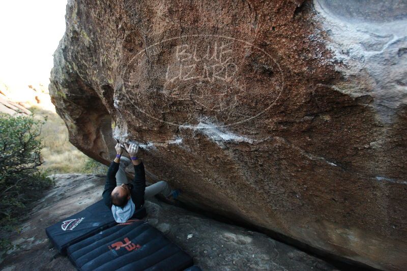 

Filename: SRM_20171119_1706260.jpg
Aperture: f/4.5
Shutter Speed: 1/200
Body: Canon EOS-1D Mark II
Lens: Canon EF 16-35mm f/2.8 L