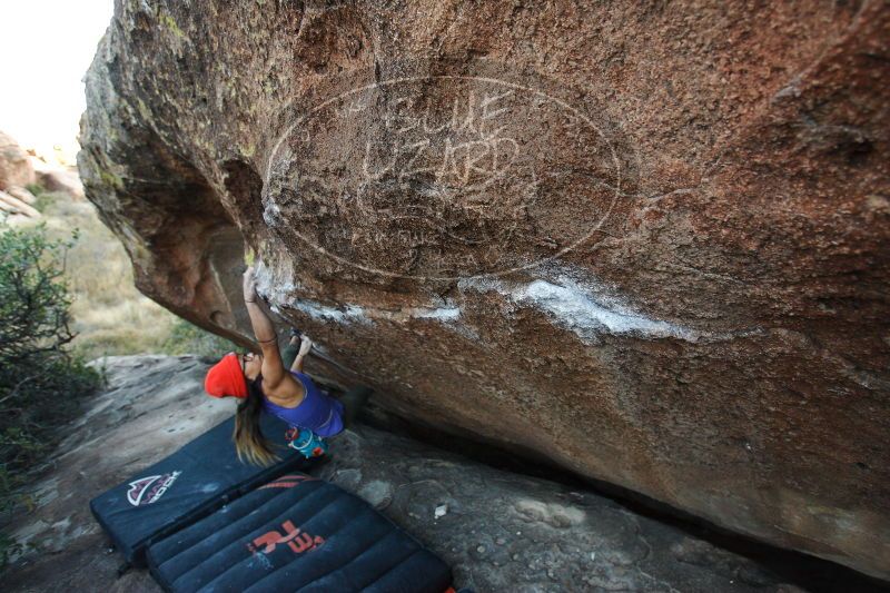 

Filename: SRM_20171119_1720270.jpg
Aperture: f/3.5
Shutter Speed: 1/250
Body: Canon EOS-1D Mark II
Lens: Canon EF 16-35mm f/2.8 L