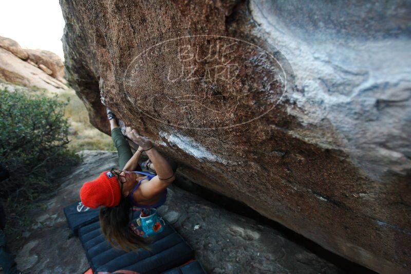 

Filename: SRM_20171119_1720482.jpg
Aperture: f/3.5
Shutter Speed: 1/400
Body: Canon EOS-1D Mark II
Lens: Canon EF 16-35mm f/2.8 L