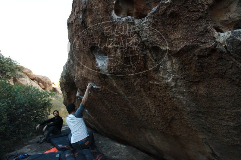 

Filename: SRM_20171119_1722310.jpg
Aperture: f/3.5
Shutter Speed: 1/500
Body: Canon EOS-1D Mark II
Lens: Canon EF 16-35mm f/2.8 L