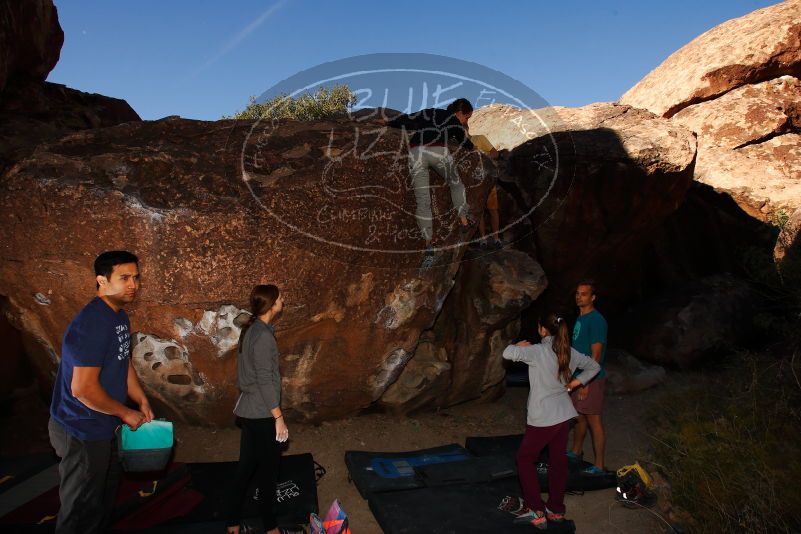 

Filename: SRM_20171124_1000540.jpg
Aperture: f/8.0
Shutter Speed: 1/250
Body: Canon EOS-1D Mark II
Lens: Canon EF 16-35mm f/2.8 L