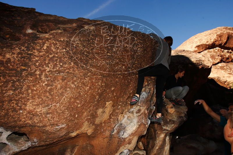 

Filename: SRM_20171124_1001400.jpg
Aperture: f/8.0
Shutter Speed: 1/250
Body: Canon EOS-1D Mark II
Lens: Canon EF 16-35mm f/2.8 L