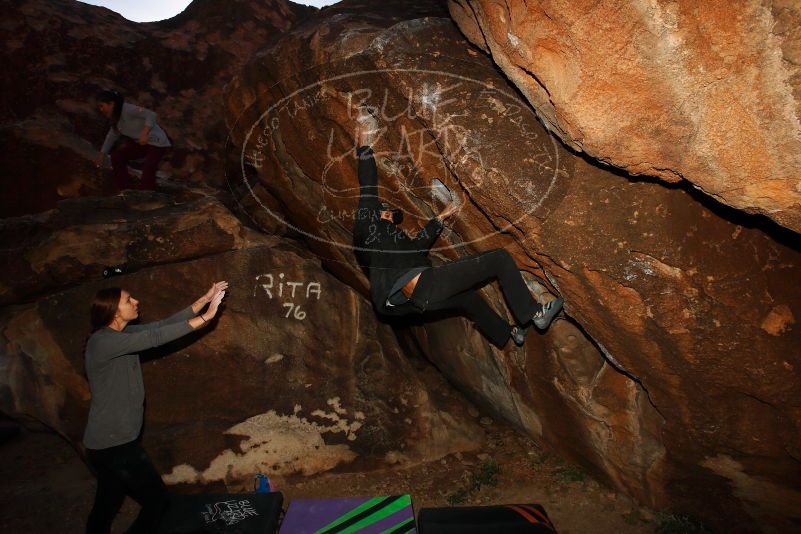 

Filename: SRM_20171124_1017190.jpg
Aperture: f/9.0
Shutter Speed: 1/250
Body: Canon EOS-1D Mark II
Lens: Canon EF 16-35mm f/2.8 L