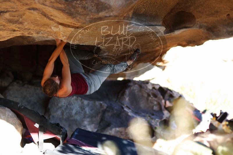 

Filename: SRM_20171124_1539121.jpg
Aperture: f/2.0
Shutter Speed: 1/500
Body: Canon EOS-1D Mark II
Lens: Canon EF 85mm f/1.2 L II