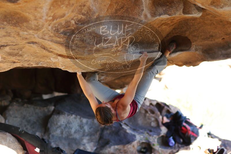 

Filename: SRM_20171124_1539211.jpg
Aperture: f/2.0
Shutter Speed: 1/500
Body: Canon EOS-1D Mark II
Lens: Canon EF 85mm f/1.2 L II