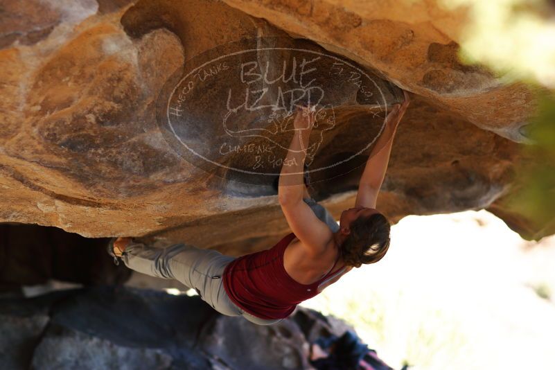 

Filename: SRM_20171124_1539420.jpg
Aperture: f/2.0
Shutter Speed: 1/640
Body: Canon EOS-1D Mark II
Lens: Canon EF 85mm f/1.2 L II