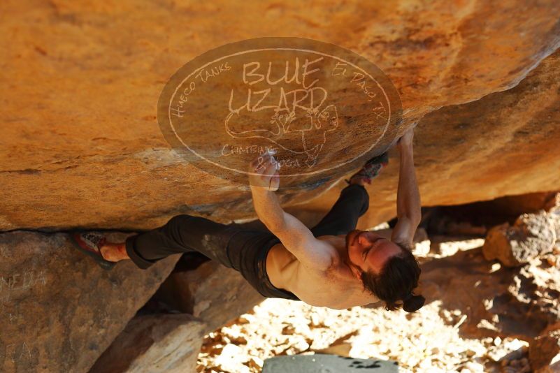 

Filename: SRM_20171124_1637330.jpg
Aperture: f/2.8
Shutter Speed: 1/640
Body: Canon EOS-1D Mark II
Lens: Canon EF 50mm f/1.8 II