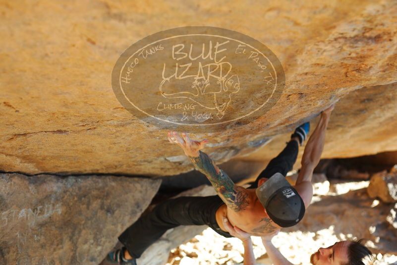 

Filename: SRM_20171124_1642441.jpg
Aperture: f/2.8
Shutter Speed: 1/400
Body: Canon EOS-1D Mark II
Lens: Canon EF 50mm f/1.8 II