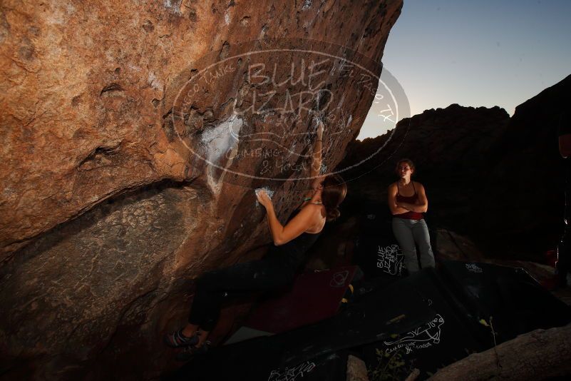 

Filename: SRM_20171124_1750540.jpg
Aperture: f/10.0
Shutter Speed: 1/250
Body: Canon EOS-1D Mark II
Lens: Canon EF 16-35mm f/2.8 L