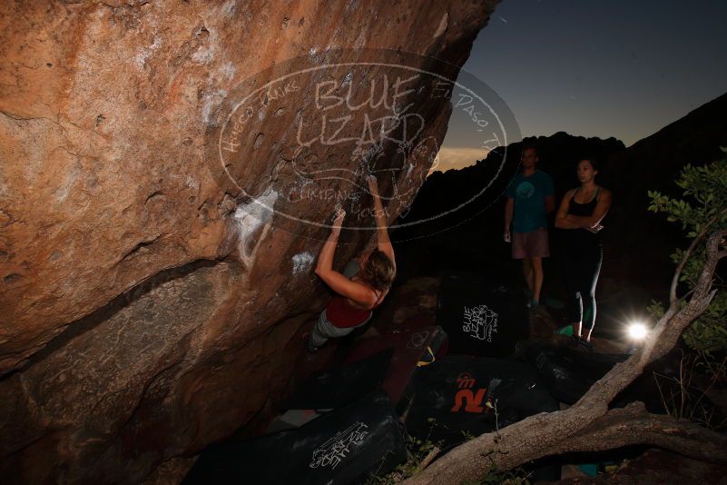 

Filename: SRM_20171124_1803370.jpg
Aperture: f/9.0
Shutter Speed: 1/250
Body: Canon EOS-1D Mark II
Lens: Canon EF 16-35mm f/2.8 L