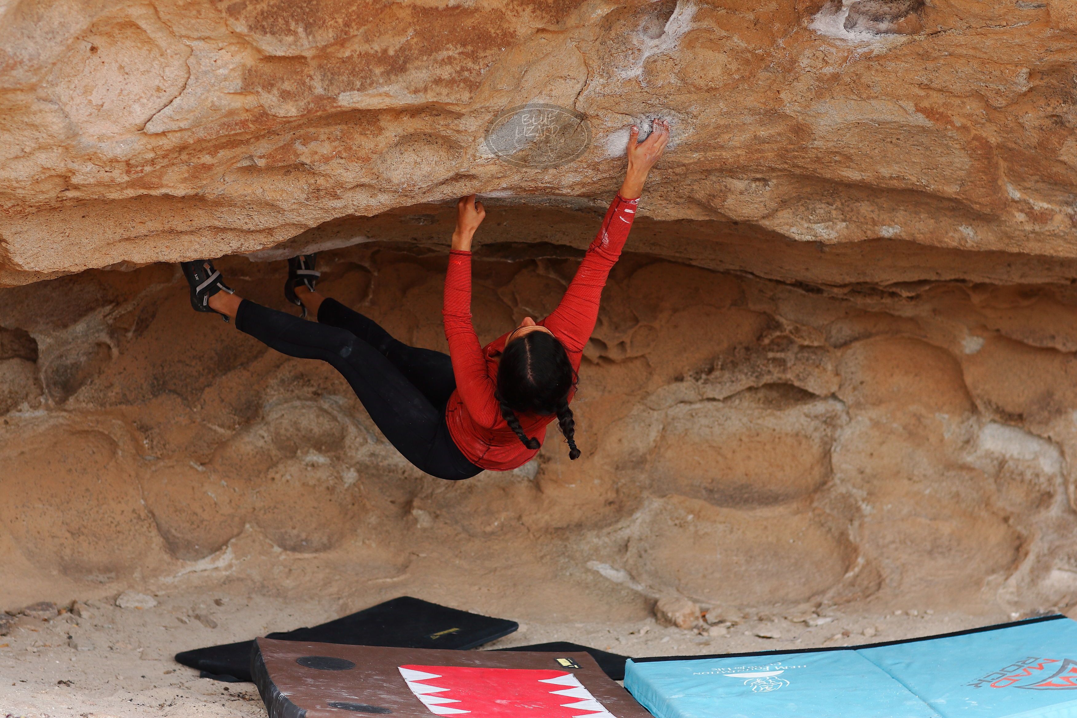 

Filename: SRM_20171227_1531460.jpg
Aperture: f/2.8
Shutter Speed: 1/500
Body: Canon EOS-1D Mark II
Lens: Canon EF 85mm f/1.2 L II