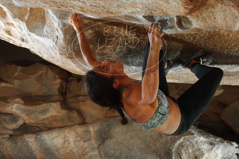 

Filename: SRM_20171228_1342410.jpg
Aperture: f/8.0
Shutter Speed: 1/250
Body: Canon EOS-1D Mark II
Lens: Canon EF 50mm f/1.8 II