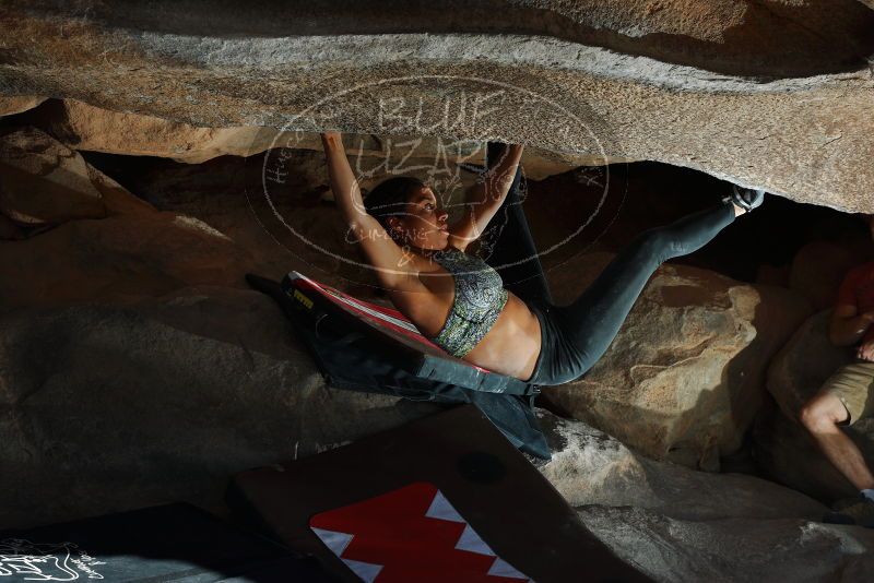 

Filename: SRM_20171228_1357520.jpg
Aperture: f/8.0
Shutter Speed: 1/250
Body: Canon EOS-1D Mark II
Lens: Canon EF 50mm f/1.8 II