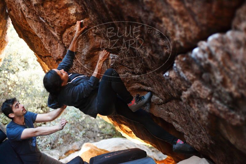 

Filename: SRM_20171228_1634480.jpg
Aperture: f/2.0
Shutter Speed: 1/250
Body: Canon EOS-1D Mark II
Lens: Canon EF 50mm f/1.8 II