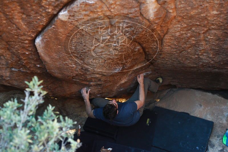 

Filename: SRM_20171228_1701520.jpg
Aperture: f/2.8
Shutter Speed: 1/200
Body: Canon EOS-1D Mark II
Lens: Canon EF 50mm f/1.8 II