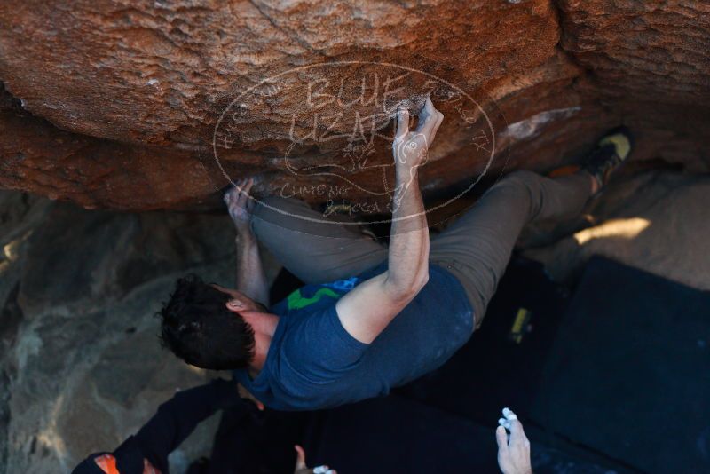 

Filename: SRM_20171228_1711100.jpg
Aperture: f/2.8
Shutter Speed: 1/250
Body: Canon EOS-1D Mark II
Lens: Canon EF 50mm f/1.8 II