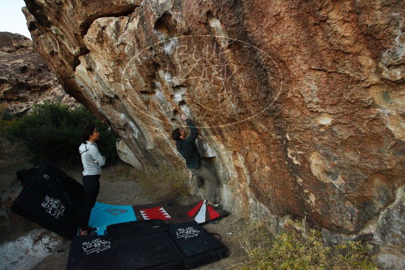 

Filename: SRM_20171228_1806280.jpg
Aperture: f/4.0
Shutter Speed: 1/250
Body: Canon EOS-1D Mark II
Lens: Canon EF 16-35mm f/2.8 L